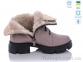 Купить Ботинки(зима) Ботинки Stella 260-9