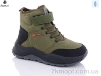 Купить Ботинки(зима) Ботинки Башили 8868-5M