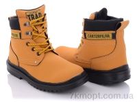 Купить Ботинки(зима)  Ботинки TOLO K1005