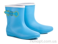 Купить Сапоги(весна-осень) Сапоги Class Shoes 818 голубые