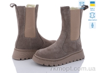 Купить Ботинки(зима) Ботинки Fat Fox-Tamei 2415-6