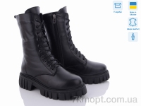 Купить Ботинки(зима) Ботинки Fat Fox-Tamei 8160-12