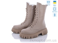 Купить Ботинки(зима) Ботинки Fat Fox-Tamei 8160-8