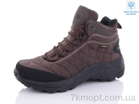 Купить Ботинки(зима)  Ботинки Pet M359-4