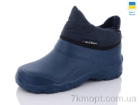 Купить Ботинки(зима) Ботинки SANLIN 2 Чобіт жін т.синій