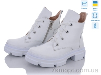 Купить Ботинки(весна-осень) Ботинки Stella 260-6 white