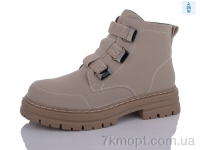 Купить Ботинки(весна-осень) Ботинки Коронате G3503-16