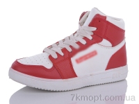 Купить Кроссовки Кроссовки Girnaive CRZ17-8