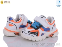 Купить Кроссовки  Кроссовки Clibee NC63-1 orange