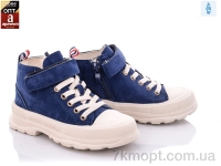 Купить Кеды Кеды Clibee P700 blue