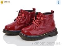 Купить Ботинки(весна-осень) Ботинки Clibee P702A wine