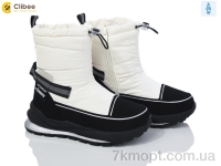 Купить Дутики Дутики Clibee TJ1013P-1  white