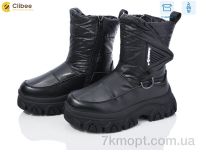 Купить Дутики Дутики Clibee TJ1014P-1 black