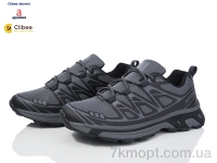 Купить Кроссовки Кроссовки Clibee-Doremi A301 grey