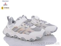 Купить Кроссовки  Кроссовки Clibee-Doremi TC69 grey