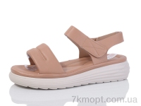 Купить Босоножки Босоножки Коронате 179-3