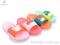 Купить Шлепки Шлепки Acorus 1000 mix