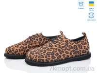 Купить Туфли Туфли Ailinda 966-13