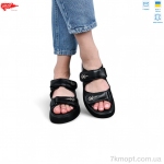 Купить Босоножки Босоножки ARTO 540 чорний к.