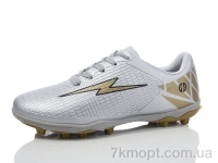 Купить Футбольная обувь Футбольная обувь ASHIGULI 08-34 siliver