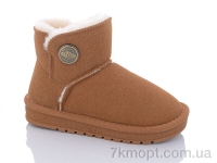 Купить Угги Угги ASHIGULI A310 camel