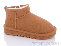 Купить Угги Угги ASHIGULI A311 camel