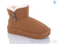 Купить Угги Угги ASHIGULI A312 camel