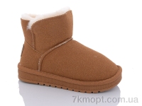 Купить Угги Угги ASHIGULI A313 camel