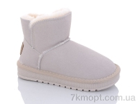 Купить Угги Угги ASHIGULI A313 grey