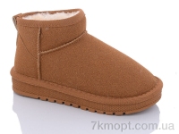 Купить Угги Угги ASHIGULI A315 camel