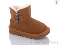 Купить Угги Угги ASHIGULI B312 camel