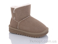 Купить Угги Угги ASHIGULI B313 brown