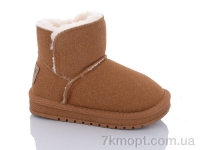 Купить Угги Угги ASHIGULI B313 camel