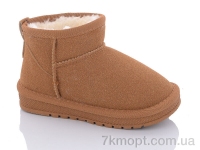 Купить Угги Угги ASHIGULI B315 camel