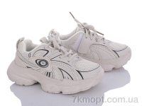 Купить Кроссовки  Кроссовки ASHIGULI BL16 beige