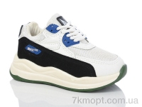 Купить Кроссовки  Кроссовки ASHIGULI L702-2