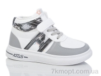 Купить Кроссовки  Кроссовки ASHIGULI L764-7