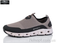 Купить Кроссовки Кроссовки Baas L1869-26