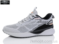 Купить Кроссовки Кроссовки Baas L1875-7