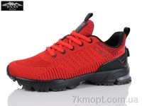 Купить Кроссовки Кроссовки Baas L1880-8C