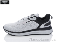 Купить Кроссовки Кроссовки Baas M7616-7