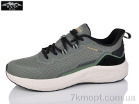 Купить Кроссовки Кроссовки Baas M7617-19