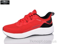 Купить Кроссовки Кроссовки Baas M7617-8