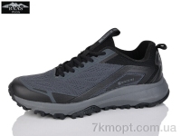 Купить Кроссовки Кроссовки Baas M7618-2