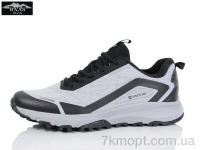 Купить Кроссовки Кроссовки Baas M7619-7