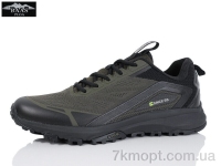 Купить Кроссовки Кроссовки Baas M7619-9