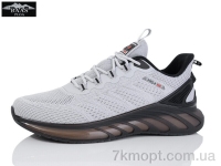 Купить Кроссовки Кроссовки Baas M7632-7