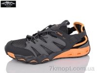 Купить Кроссовки Кроссовки Baas M7640-12