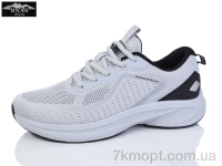 Купить Кроссовки Кроссовки Baas M7643-7