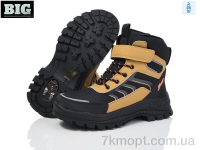 Купить Ботинки(зима) Ботинки BIG 3834-A03-6 льодоступ